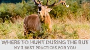 Read more about the article Where to Hunt During the Rut? 3 Pro Tips for You