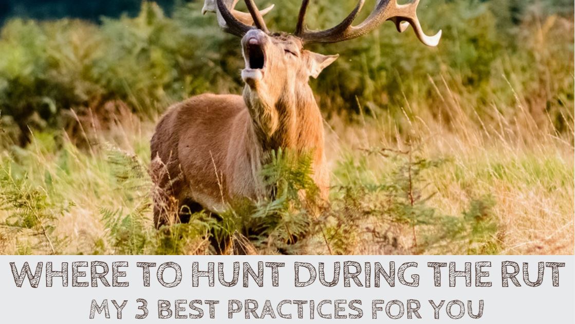 You are currently viewing Where to Hunt During the Rut? 3 Pro Tips for You
