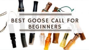 Read more about the article Best Goose Call For Beginners