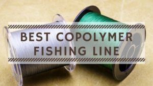 Read more about the article Best Copolymer Fishing Line