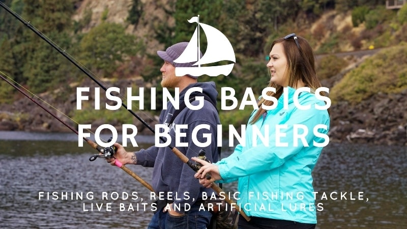 You are currently viewing Fishing Basics for Beginners – Learn How to Fish Like a Pro