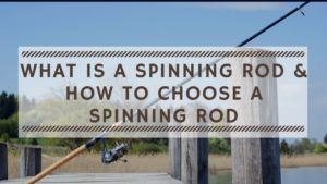 Read more about the article What is a Spinning Rod & How to Choose a Spinning Rod