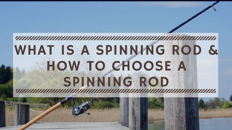 You are currently viewing What is a Spinning Rod & How to Choose a Spinning Rod