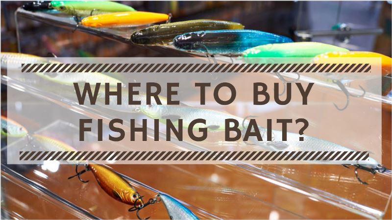 You are currently viewing Where to Buy Fishing Bait? Guide to Buy Bait for Fishing