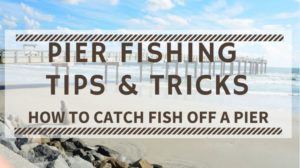 Read more about the article Pier Fishing Tips & Tricks – How to Catch Fish off a Pier