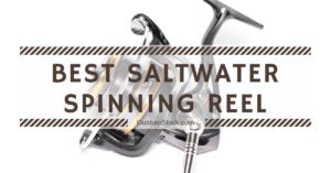 Read more about the article 12 Best Saltwater Spinning Reels Under $200