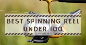 Read more about the article Best Spinning Reel Under 100