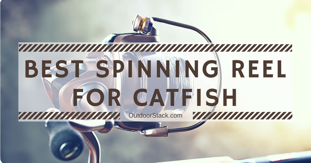 You are currently viewing 5 Best Catfish Spinning Reel Reviews