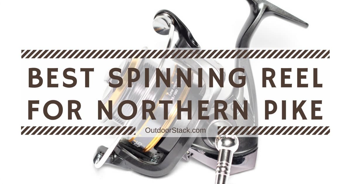 You are currently viewing Best Spinning Reel for Northern Pike