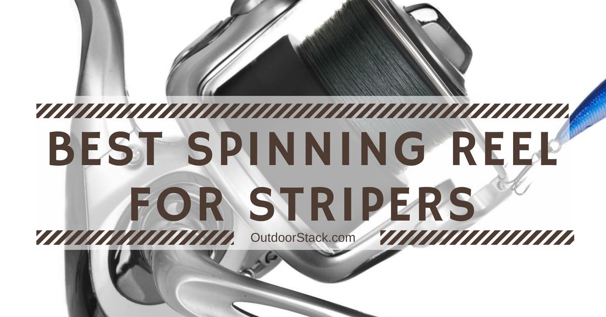 You are currently viewing Best Spinning Reel for Stripers