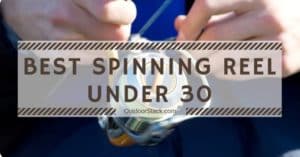 Best Spinning Reel Under 30