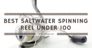 Read more about the article 9 Best Saltwater Spinning Reel Under 100 – Top Picks of 2021
