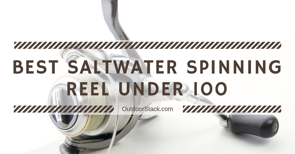 You are currently viewing 9 Best Saltwater Spinning Reel Under 100 – Top Picks of 2021