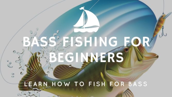 Bass Fishing for Beginners