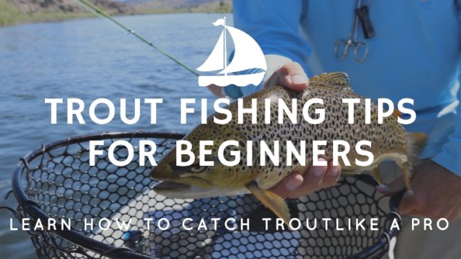 Trout Fishing Tips For Beginners