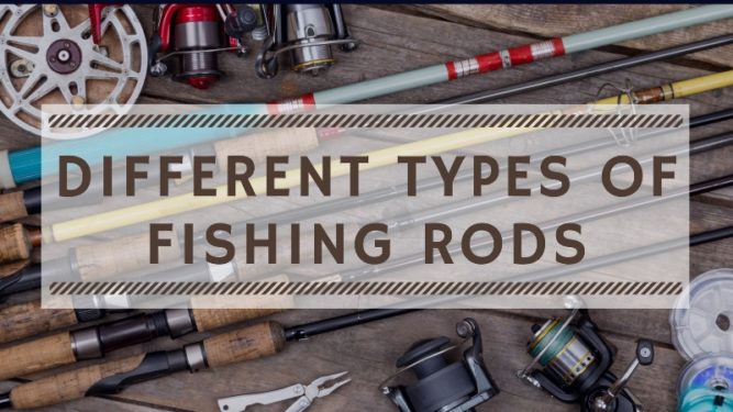 Different Types of Fishing Rods Explained