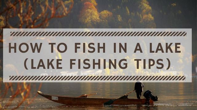 How to Catch Fish in a Lake. How to Fish in a Lake. Lake Fishing Tips.
