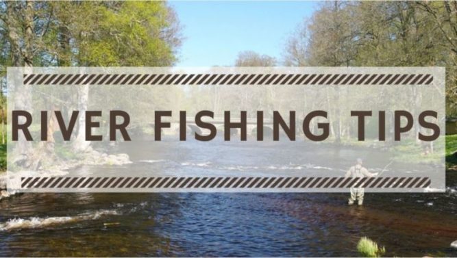 How to Catch Fish in a River. River Fishing Tips. River Fishing Tactics. River Fishing 101.