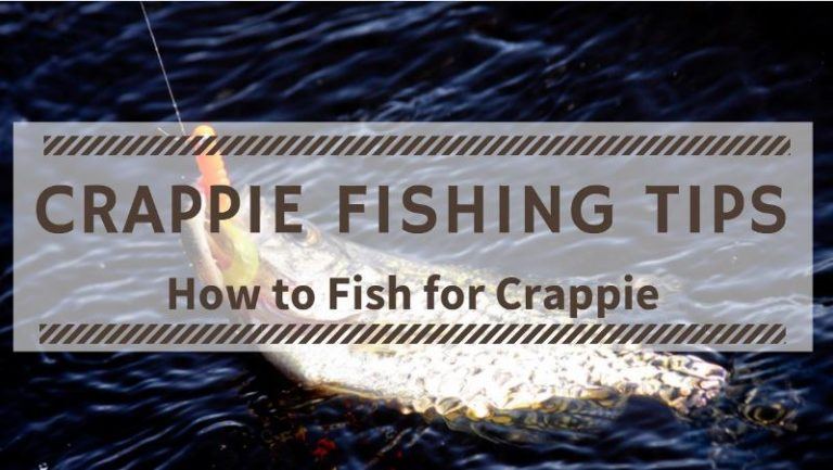 Crappie Fishing Tips For Beginners - How To Fish For Crappie