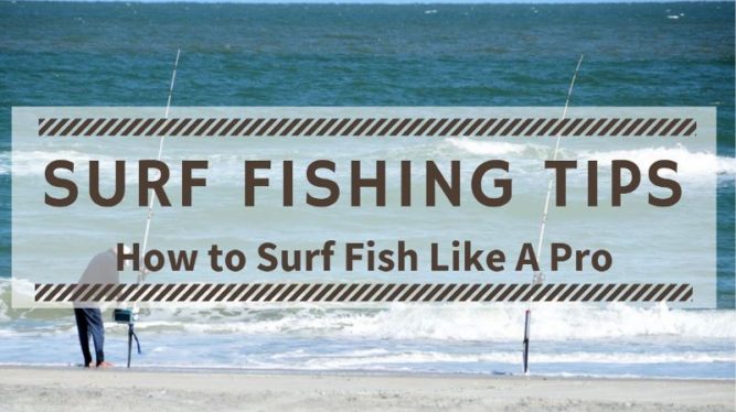 Surf Fishing Tips How To Surf Fish Like A Pro Outdoorstack