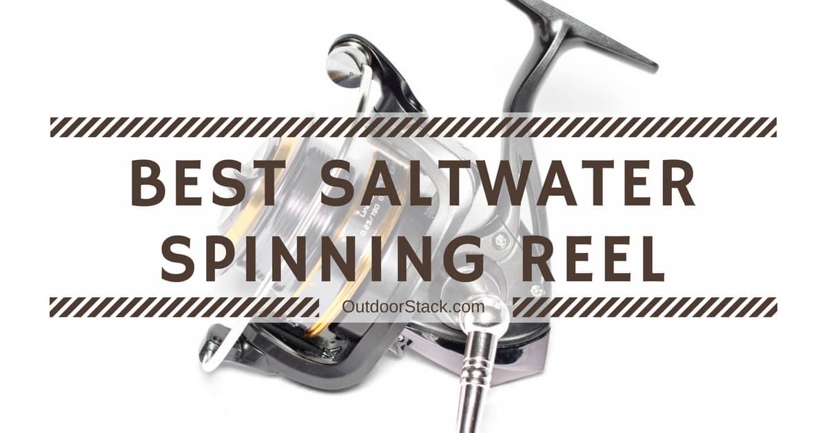 best saltwater reel under 200