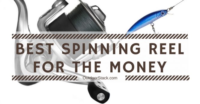 Best Spinning Reels for the Money