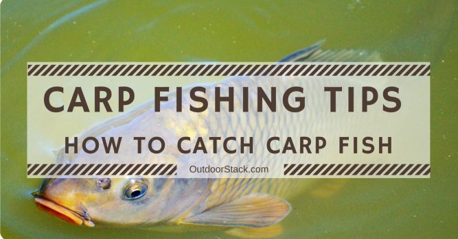 Carp Fishing Tips for Beginners - How to Catch Carp Fish