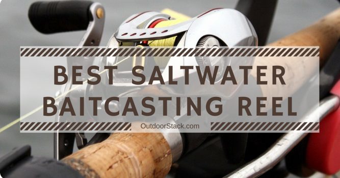 Best Saltwater Baitcasting Reel
