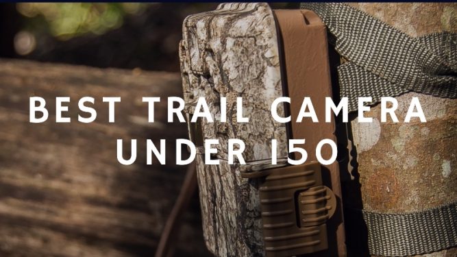 Best Trail Camera Under 150